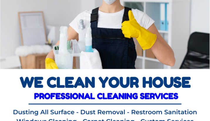 professional cleaning services