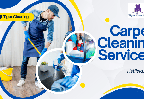 Carpet cleaning services Hatfield, UK - Tiger Cleaning