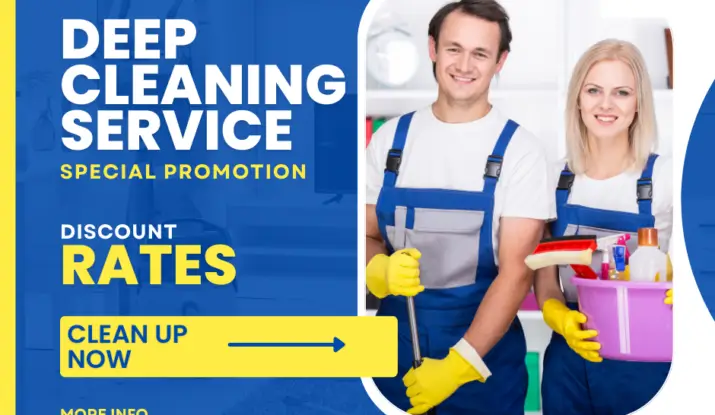 Deep-Cleaning-Service-Tiger-cleaning