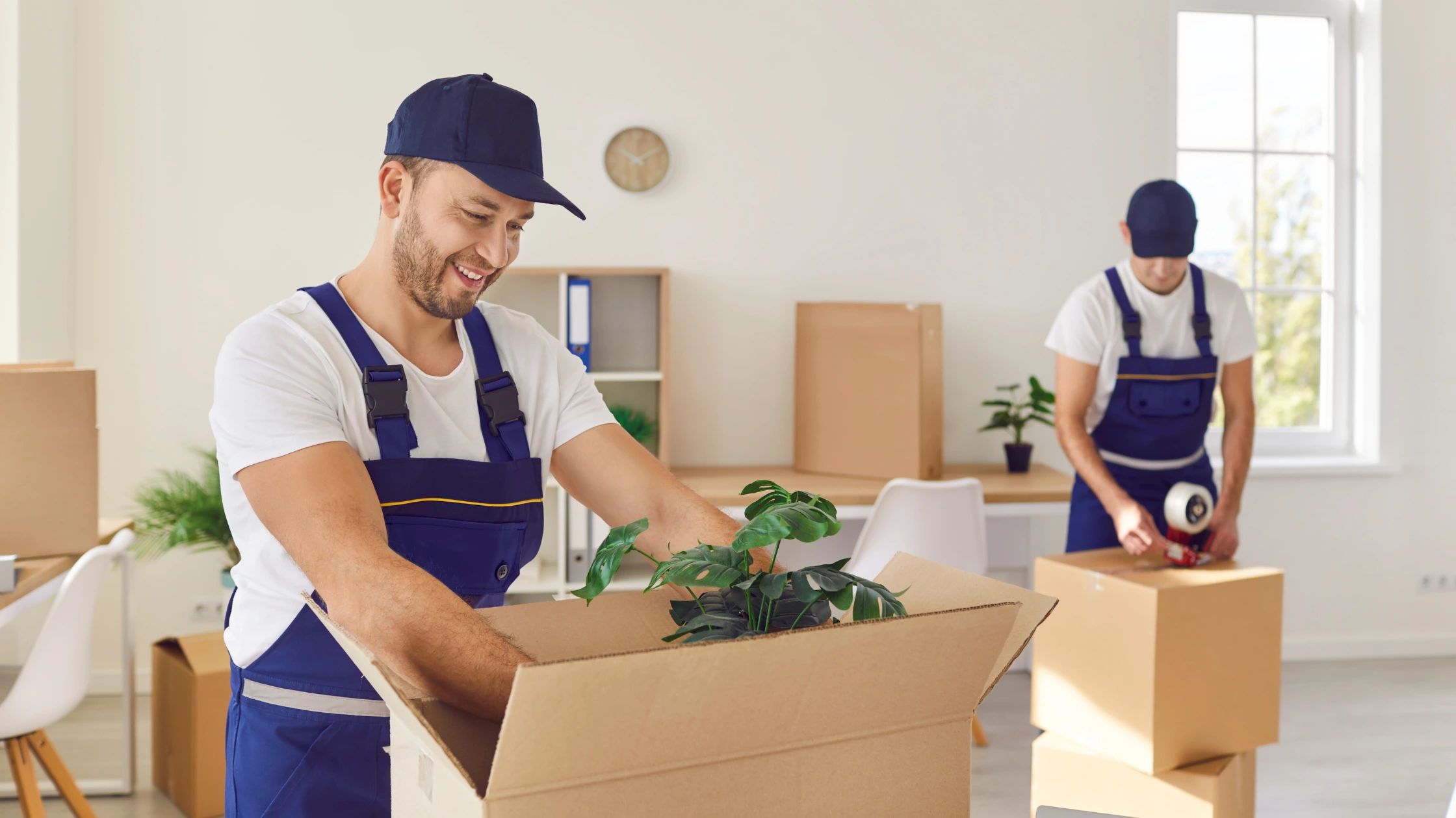professional end of tenancy and move-in cleaning services